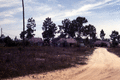Susie Billie's village near Naples.
