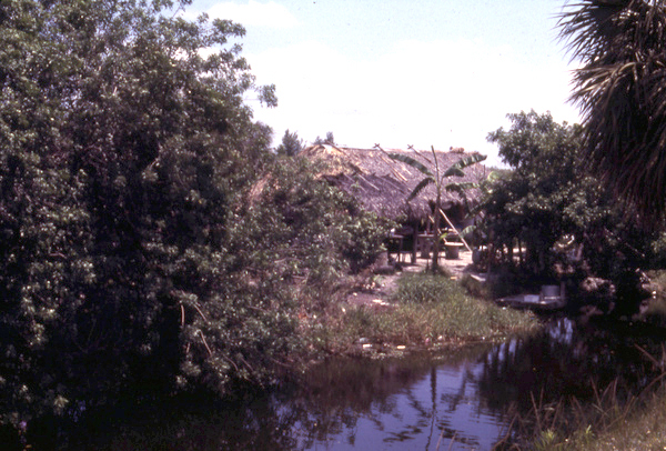 Susie Billie's camp east of Naples.