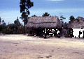 Susie Billie's camp east of Naples.