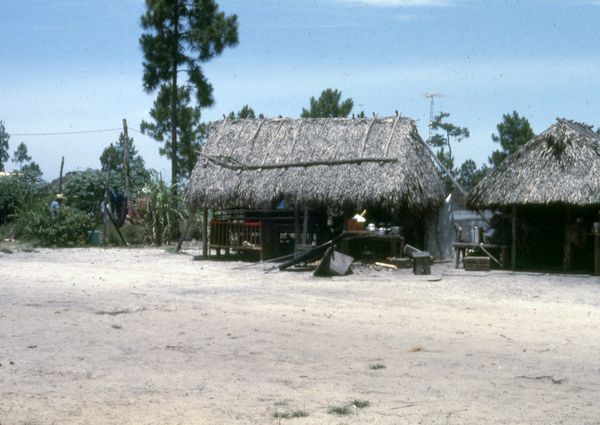 Susie Billie's camp east of Naples.
