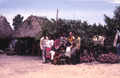 Photographer's wife Gladys posing with Susie Billie and her family at their camp in Naples.