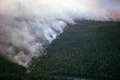 Aerial view of a controlled burn