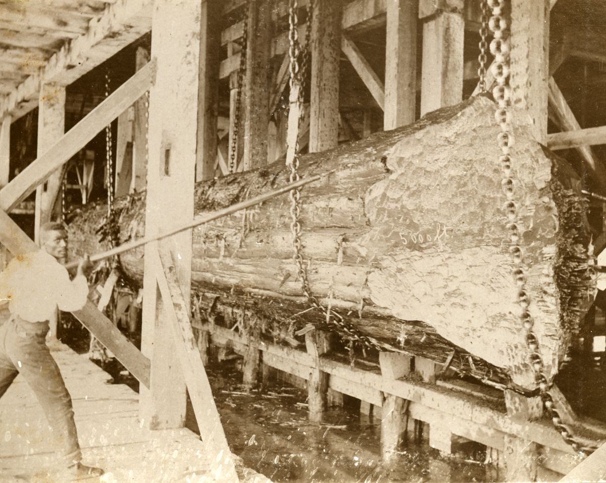 Black lumberman with large log in Apalachicola, Florida.