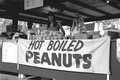 Becky Franklin's boiled peanuts food stand- White Springs, Florida