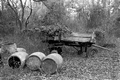 Barrels containing turpentine near an old wagon.