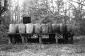 Barrels containing turpentine.