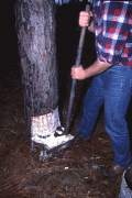 Kent Ramsey demonstrating turpentine techniques in Bethlehem.