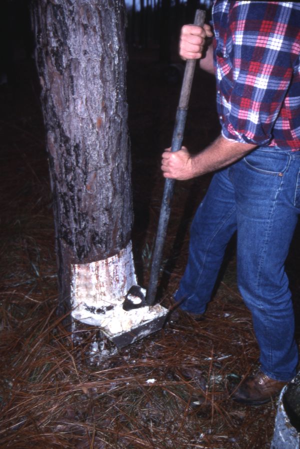 Kent Ramsey demonstrating turpentine techniques in Bethlehem.
