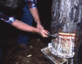 Kent Ramsey demonstrating turpentine techniques in Bethlehem.