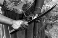 Agnes Cypress collecting medicinal herbs- Big Cypress Seminole Indian Reservation, Florida