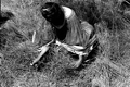 Susie Jim Billie collecting medicinal herbs- Big Cypress Seminole Indian Reservation, Florida