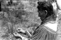 Susie Jim Billie collecting medicinal herbs- Big Cypress Seminole Indian Reservation, Florida