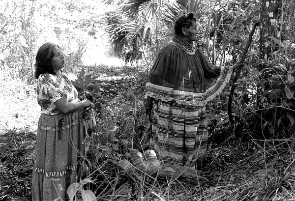 Susie Jim Billie and daughter Agnes Cypress searching for medicinal herbs- Big Cypress Seminole Indian Reservation, Florida