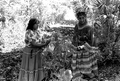 Susie Jim Billie and daughter Agnes Cypress searching for medicinal herbs- Big Cypress Seminole Indian Reservation, Florida