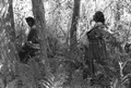 Susie Jim Billie and daughter Agnes Cypress searching for medicinal plants and herbs- Big Cypress Seminole Indian Reservation, Florida