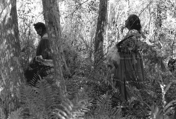 Susie Jim Billie and daughter Agnes Cypress searching for medicinal plants and herbs- Big Cypress Seminole Indian Reservation, Florida