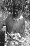 Susie Jim Billie collecting medicinal plants and herbs- Big Cypress Seminole Indian Reservation, Florida