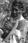Susie Jim Billie collecting medicinal plants and herbs- Big Cypress Seminole Indian Reservation, Florida