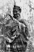 Susie Jim Billie collecting medicinal plants and herbs- Big Cypress Seminole Indian Reservation, Florida