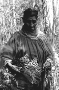 Susie Jim Billie collecting medicinal plants and herbs- Big Cypress Seminole Indian Reservation, Florida