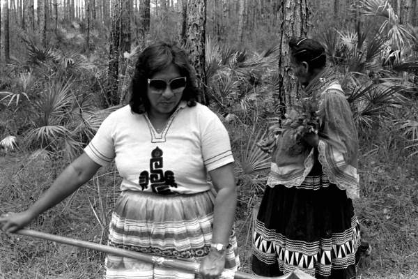 Susie Jim Billie and daughter Agnes Cypress searching for medicinal plants and herbs- Big Cypress Seminole Indian Reservation, Florida