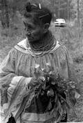 Susie Jim Billie collecting medicinal plants and herbs- Big Cypress Seminole Indian Reservation, Florida