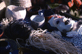 Masks on display at the Zora Neale Hurston Festival of the Arts and Humanities - Eatonville, Florida