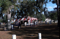 View of tents set up for the Zora Neale Hurston Festival of the Arts and Humanities - Eatonville, Florida