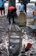 Alfonso Jennings splitting white oak to make a basket at the 1990 Florida Folk Festival - White Springs, Florida