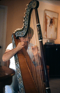 Jesus Rodriguez playing the Venezuelan harp- Naples, Florida