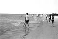 Group of boys pulling in a cast net they are fishing with