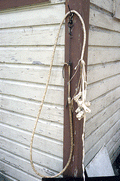 Cow whip made by George "Junior" Mills - Okeechobee, Florida.