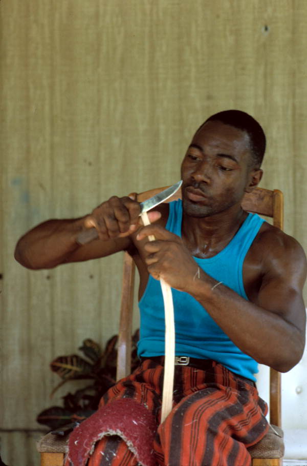 Alphonso Jennings cutting white oak to make a basket - Lamont, Florida