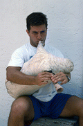 Nikitas Kavouklis, apprentice to his great uncle Nikitas Tsimouris, plays the Greek bagpipe, called a tsabouna - Tarpon Springs, Florida