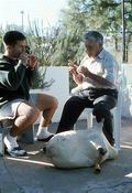 Tsabouna player Nikitas Tsimouris listens as his apprentice and grand-nephew Nikitas Kavouklis plays the practice chanter. The tsabouna is in the foreground - Tarpon Springs, Florida