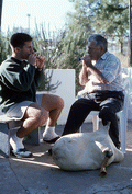 Tsabouna player Nikitas Tsimouris and his apprentice and grand-nephew Nikitas Kavouklis playing practice chanters. The tsabouna is in the foreground - Tarpon Springs, Florida