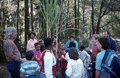 Bob Stone explains sugarcane cultivation to school children - White Springs, Florida.