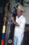 Jesus Rodriguez playing Venezuelan harp - Miami, Florida.