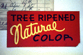 Close up of a produce label.