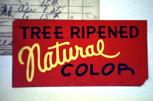 Close up of a produce label.