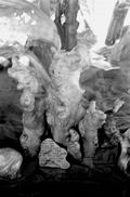 Close up view of cypress knees on display at the Cypress Knee Museum - Palmdale, Florida.