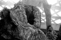 Close up view of a Cypress knee and cypress wood on display at the Cypress Knee Museum - Palmdale, Florida.