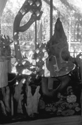 Cypress knees in a display at the Cypress Knee Museum - Palmdale, Florida.