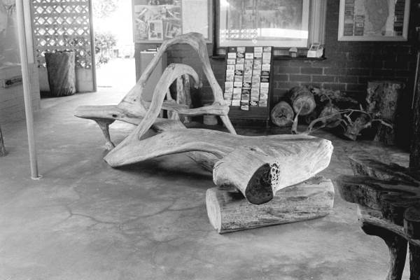 Cypress wood at the Cypress Knee Museum - Palmdale, Florida.