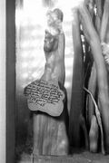 Cypress knee at the Cypress Knee Museum - Palmdale, Florida.