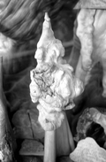 Cypress knee at the Cypress Knee Museum - Palmdale, Florida.