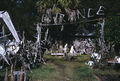 Entrance to the Cypress Knee Museum - Palmdale, Florida.