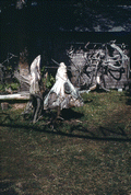 Cypress wood on display at the Cypress Knee Museum - Palmdale, Florida.