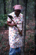 Basket maker Lucreaty Clark preparing to cut down a white oak tree