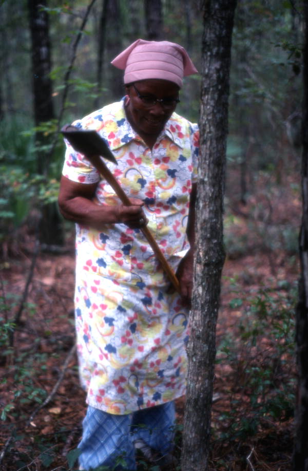 Basket maker Lucreaty Clark preparing to cut down a white oak tree